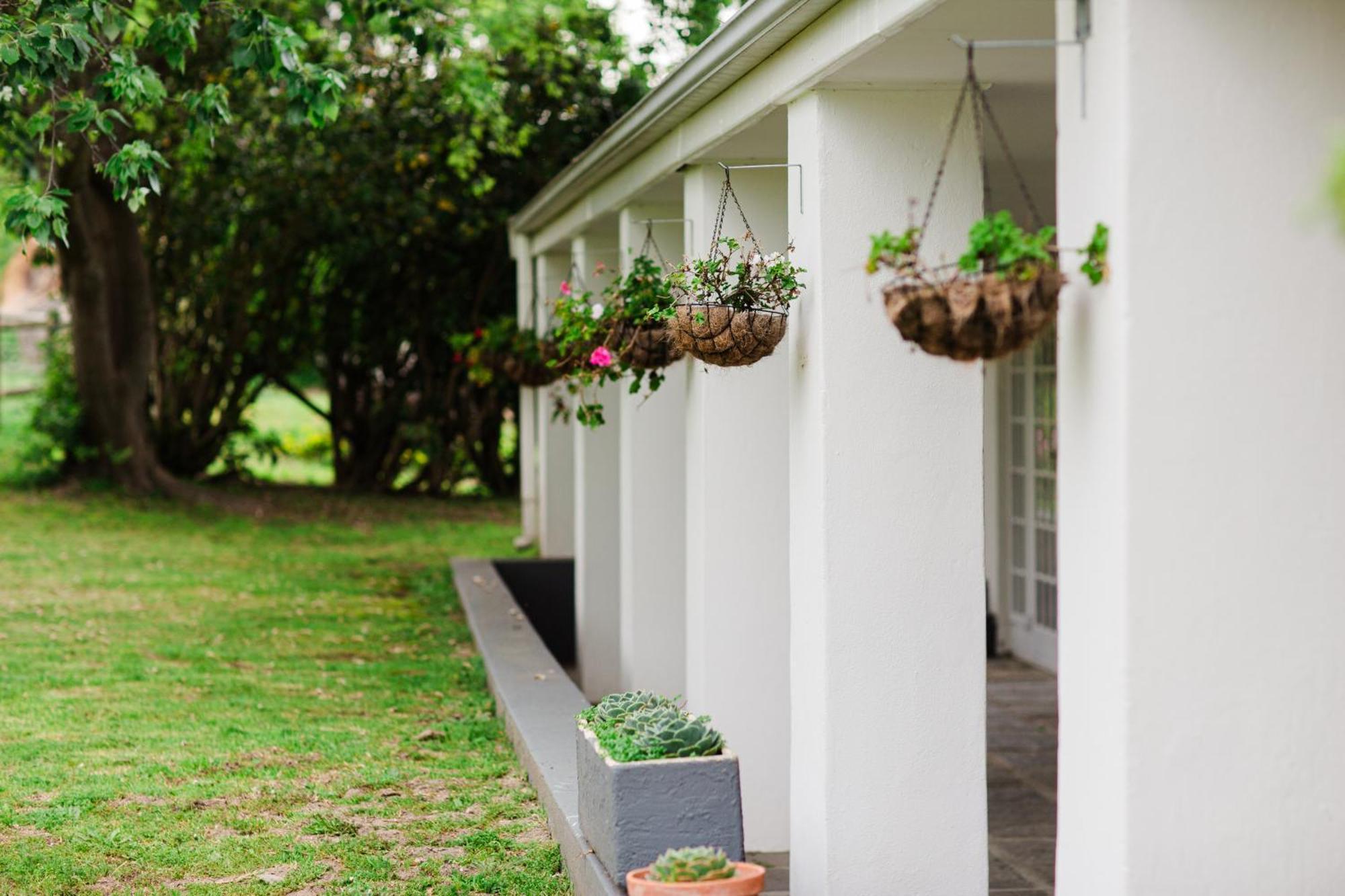 Marshden Estate Bed & Breakfast Stellenbosch Exterior photo