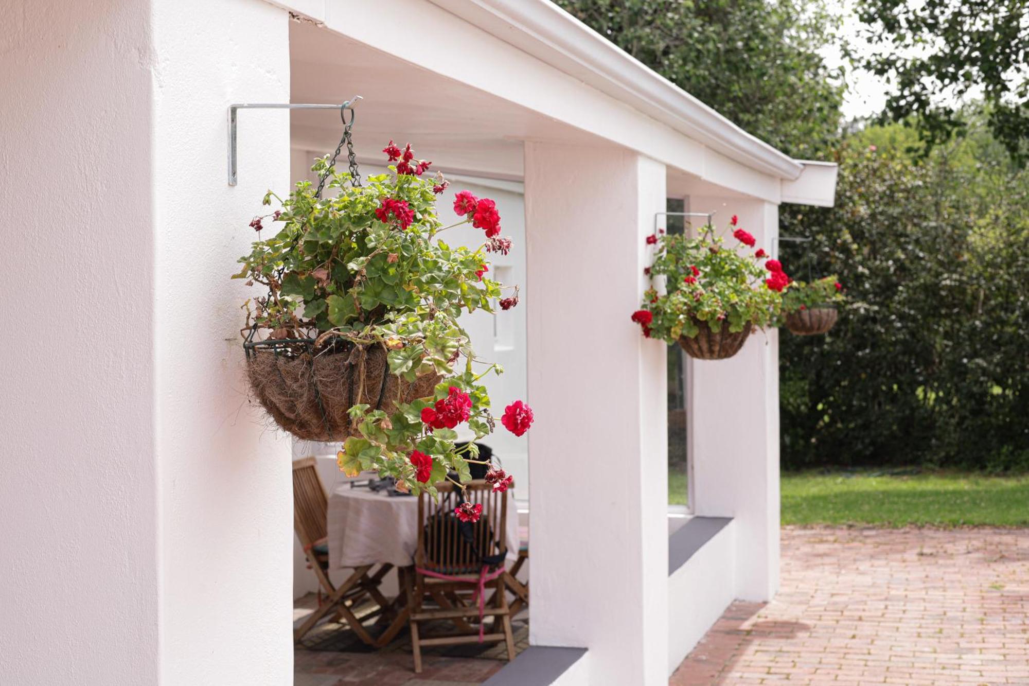 Marshden Estate Bed & Breakfast Stellenbosch Exterior photo